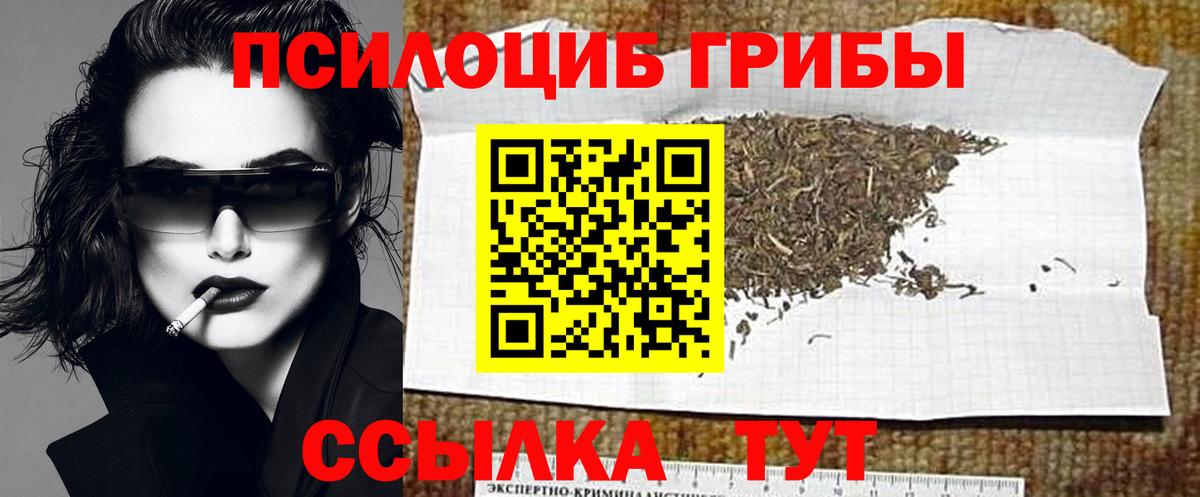 Галлюциногенные грибы Psilocybine cubensis  где купить наркотик  Вход с VPN  Вязники  Псилоцибиновые грибы мухоморы 