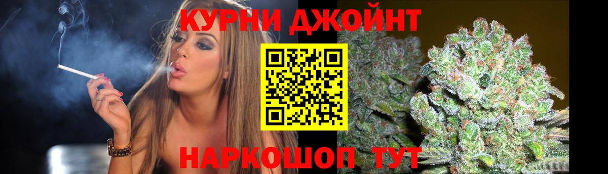 Бошки марихуана марихуана  Канабис план  Вход с VPN  Вязники 